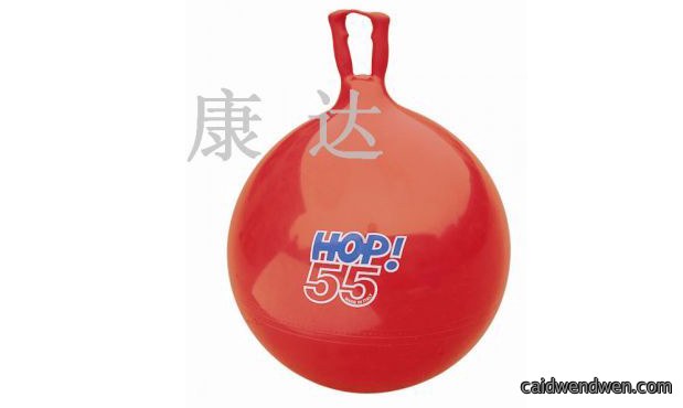 弹跳球55cm(进口)